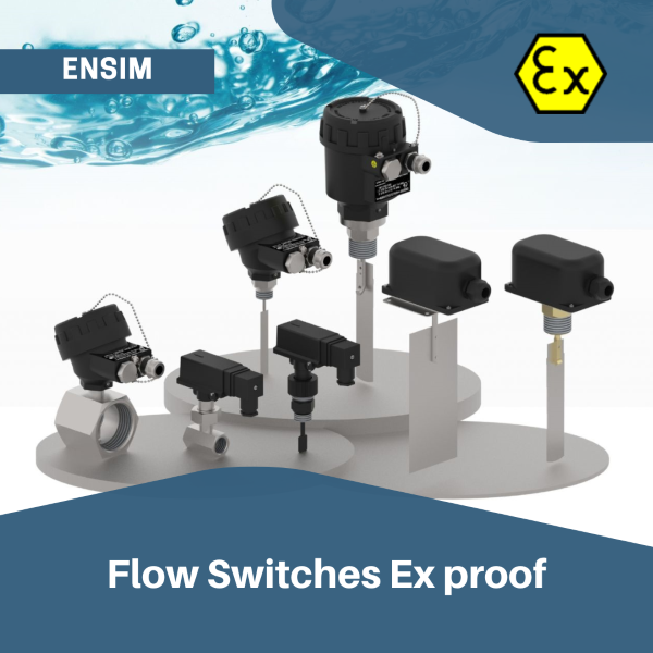 Ensim Dx-EFS Flow Switches explosion proof