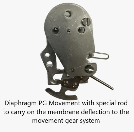 DGmovement